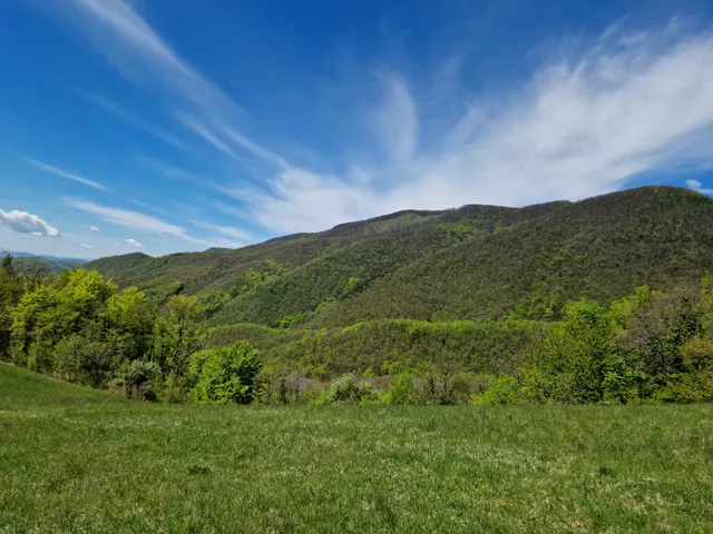 Orhidejska Staza (Strahinjčica)