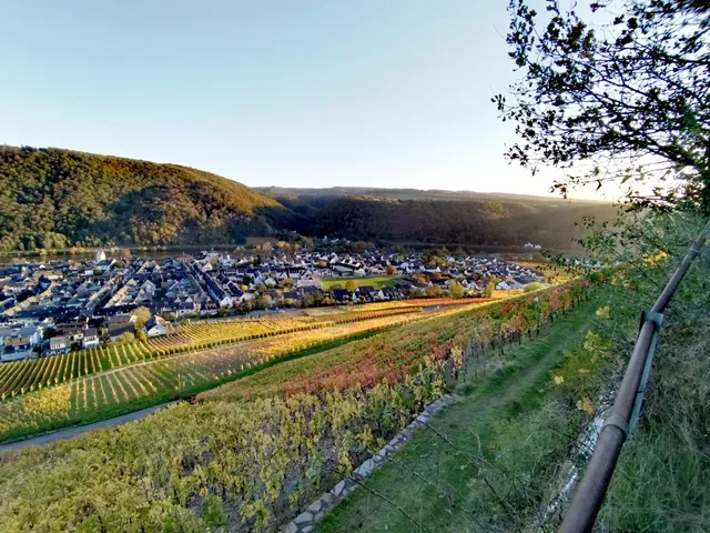 Point de vue Winningen