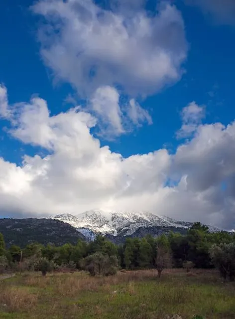 Parque De La Libertad