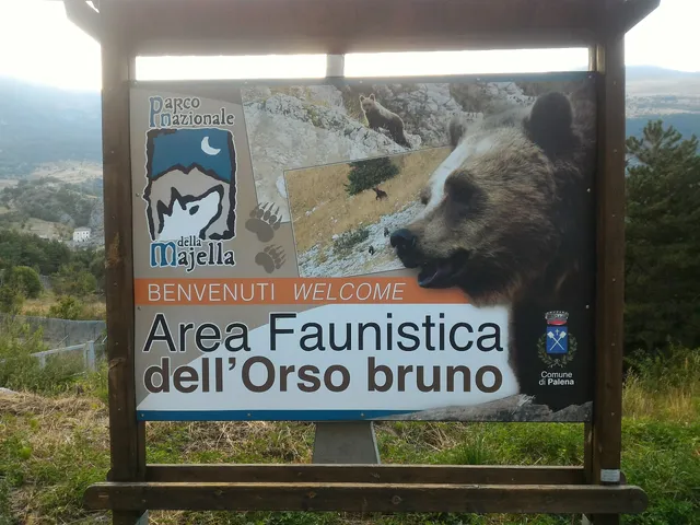 Area Faunistica dell'Orso Bruno