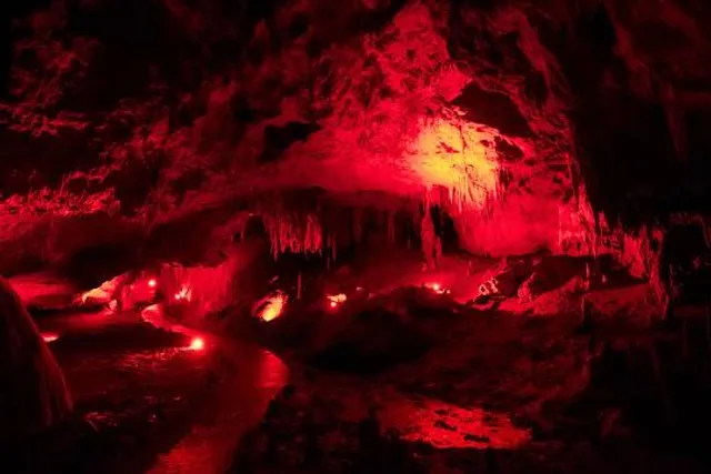 Screams Halloween Theme Park