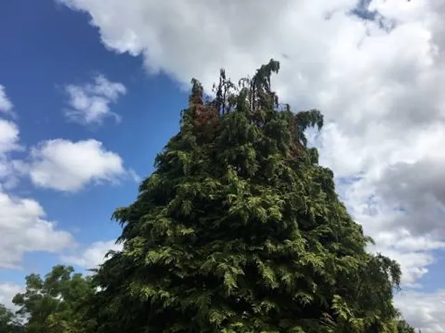 Leavesden Country Park