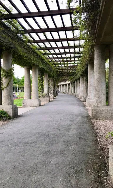 photo-1