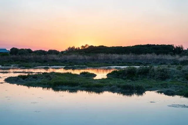 La Réserve naturelle nationale de Lilleau des Niges