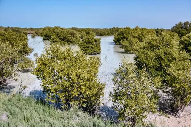 Jubail Mangrove Park
