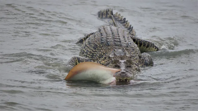 Western Cape Eco Tours