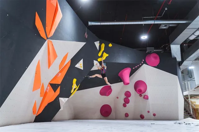 urban apes Hamburg St. Pauli