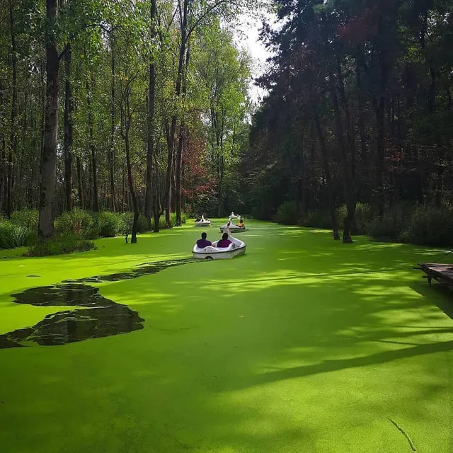 Saravan Forest Park - Phase 2