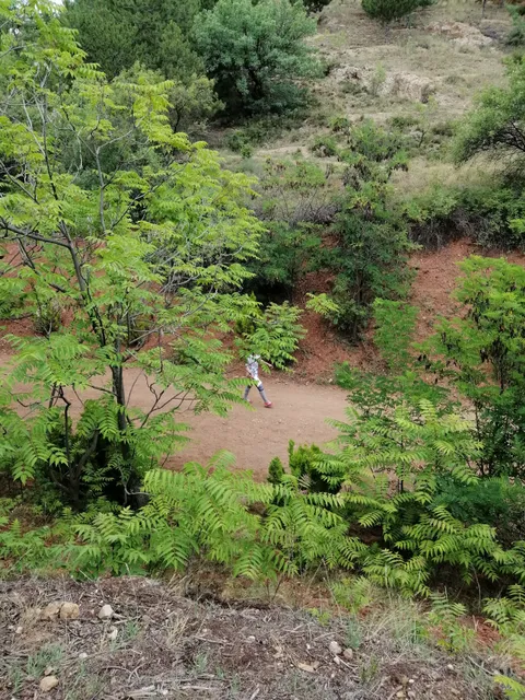 photo-1