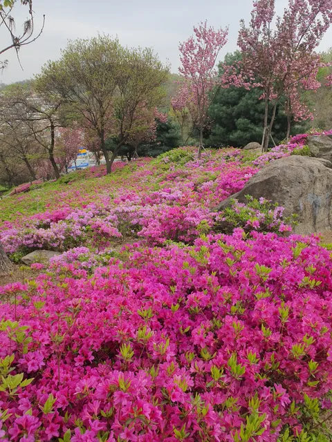Gogang Prehistoric Relics Park