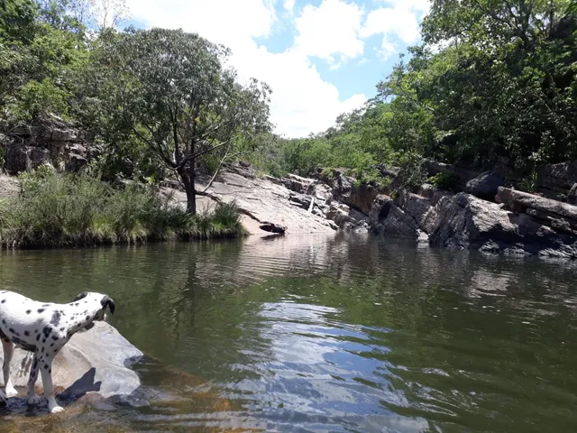 Região Geográfica Imediata de Uruaçu - Niquelândia