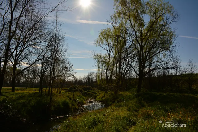 Lineal Arroyo Butarque Park