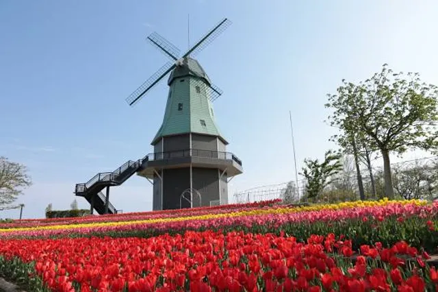 Windmill, Kasumigaura Comprehensive Park