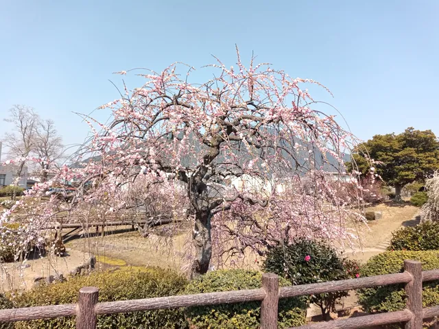 ハナノウオカコウエンキタキュウシュウシリツソウゴウノウジセンター