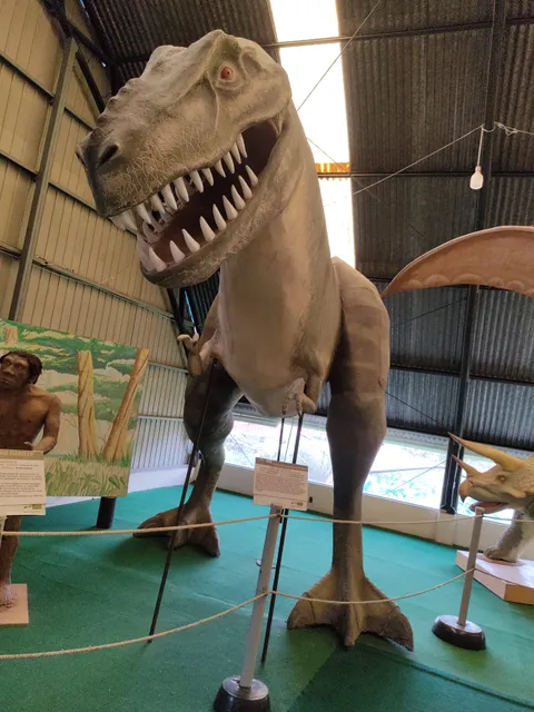 Museum of Natural History