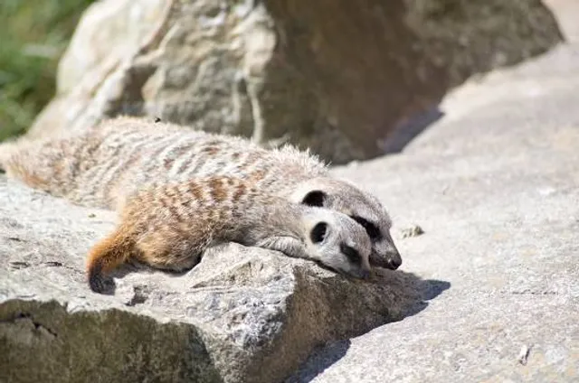Museum of the Land of Cherry
