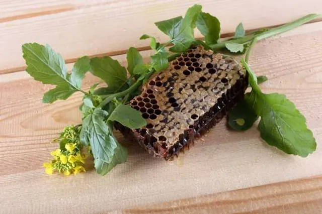 Tērvetes tauriņu māja