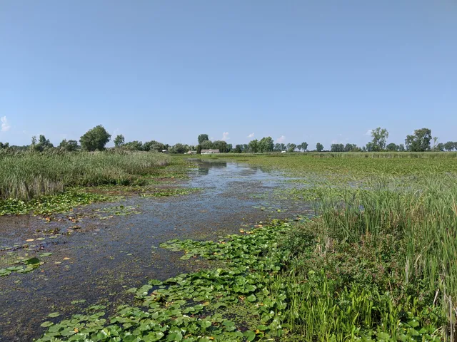 St. Clair National Wildlife Area