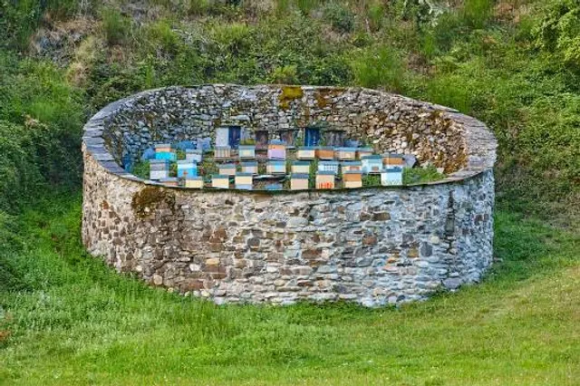 Inicio Ruta Bosque Moal