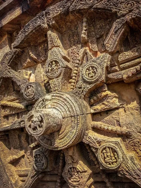 Balukhand - Konark Wildlife Sanctuary