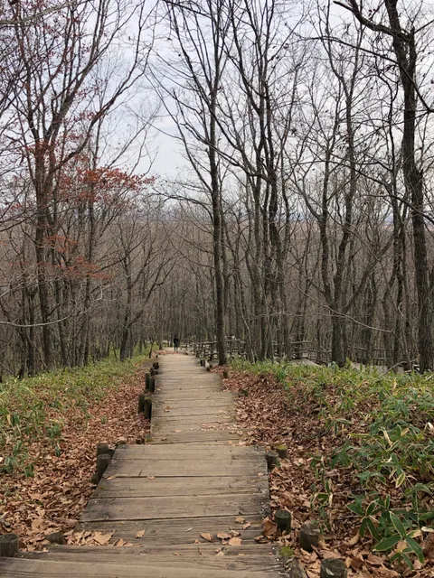 Kushiro Marsh Boardwalk Trail