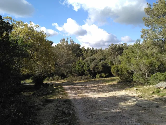 Horshan Mountain Reserve