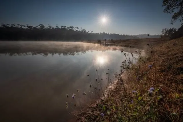 Wat Chan Royal Project