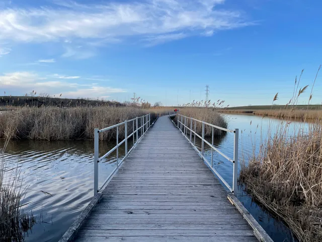 Richard W. DeKorte Park