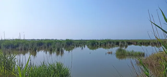 Laguna de la Encañisada