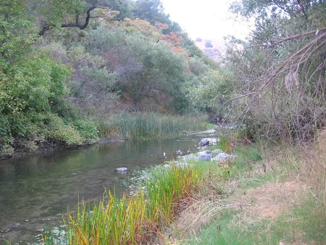 Niles Canyon