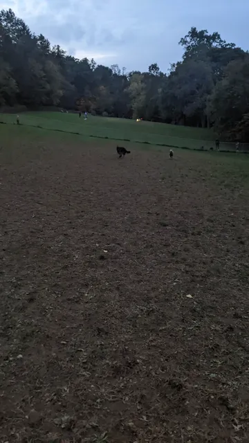 Central Park County Dog Park