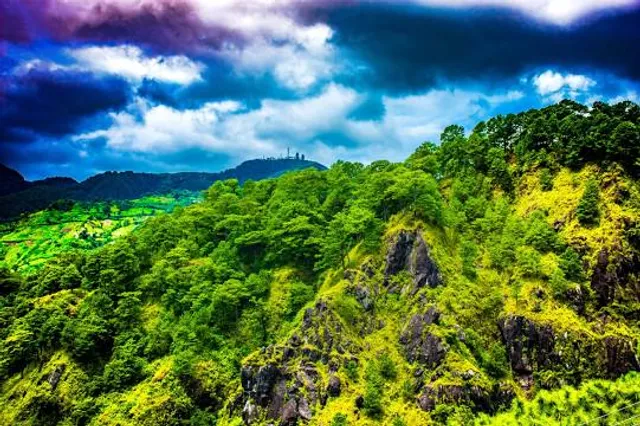 Bamboo Educational Demo Farm (Bamboo Sanctuary), St. Francis Xavier Seminary