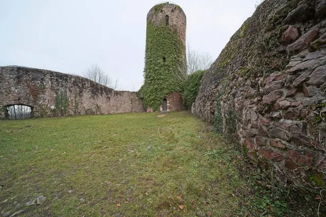 Sausenburg Burgruine