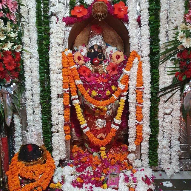 Rajaji National Park/Tiger Reserve