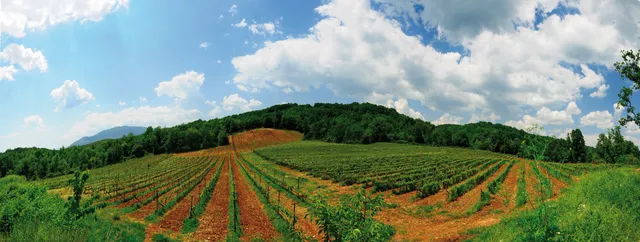 Domaine Glinavos S.A.