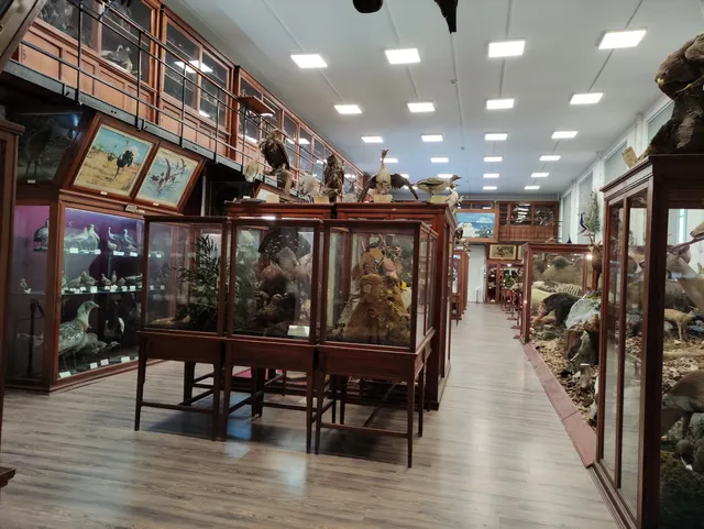 Zoological Museum