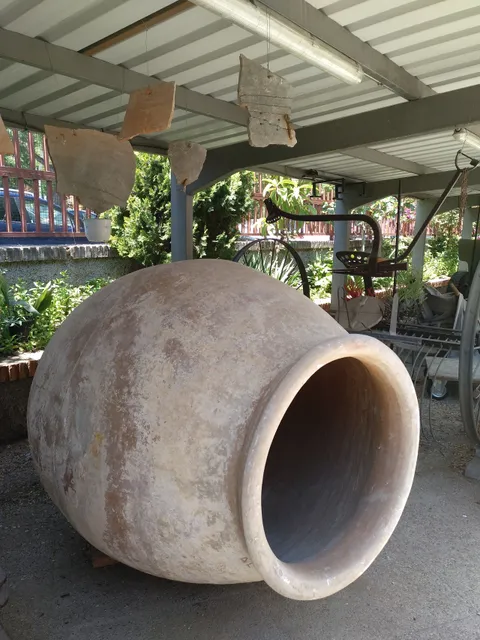 Asociación Vicus Albus