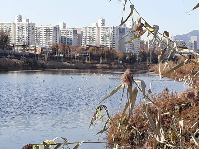 Hannae Neighborhood Park