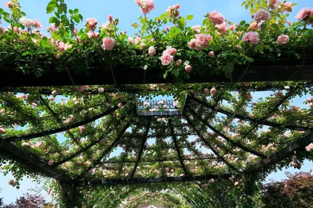 Yokohama English Garden