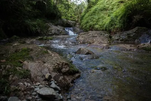 Reserva Científica Ebano Verde