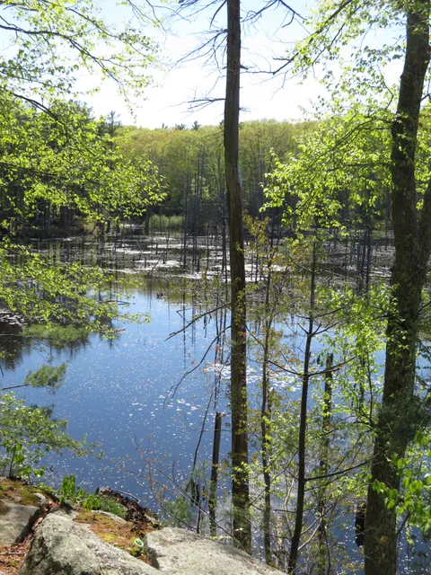 Mass Audubon's Rocky Hill Wildlife Sanctuary
