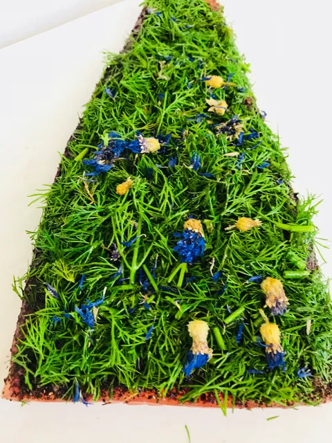 Hamburger Fischwerker Lachs Versand