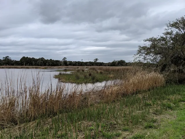 Tom Yawkey Wildlife Center