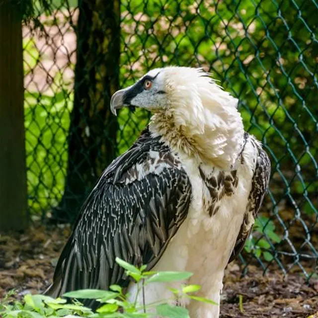 Weltvogelpark Walsrode