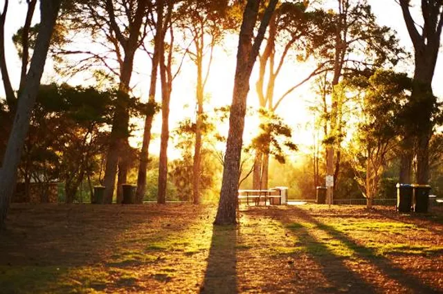Thorndon Park Reservoir