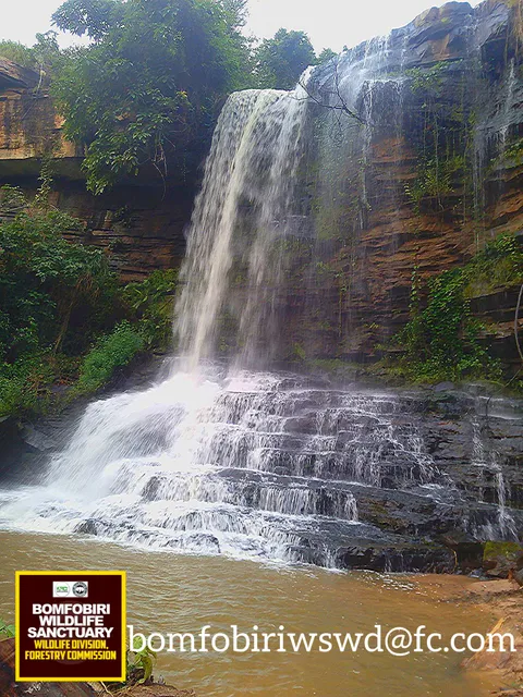 Bomfobiri Wildlife Sanctuary