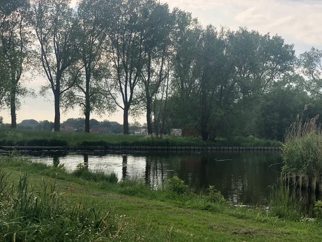 Burgemeester Reinaldapark