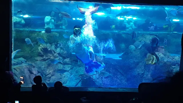 Nanjing Underwater World