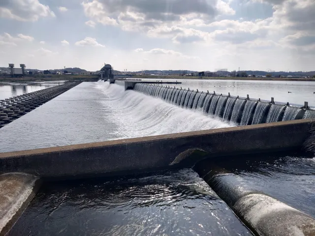 Tamagawa Ryokuchi Park