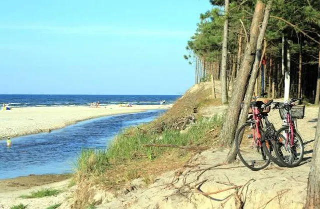 Mündung der Piasnitz